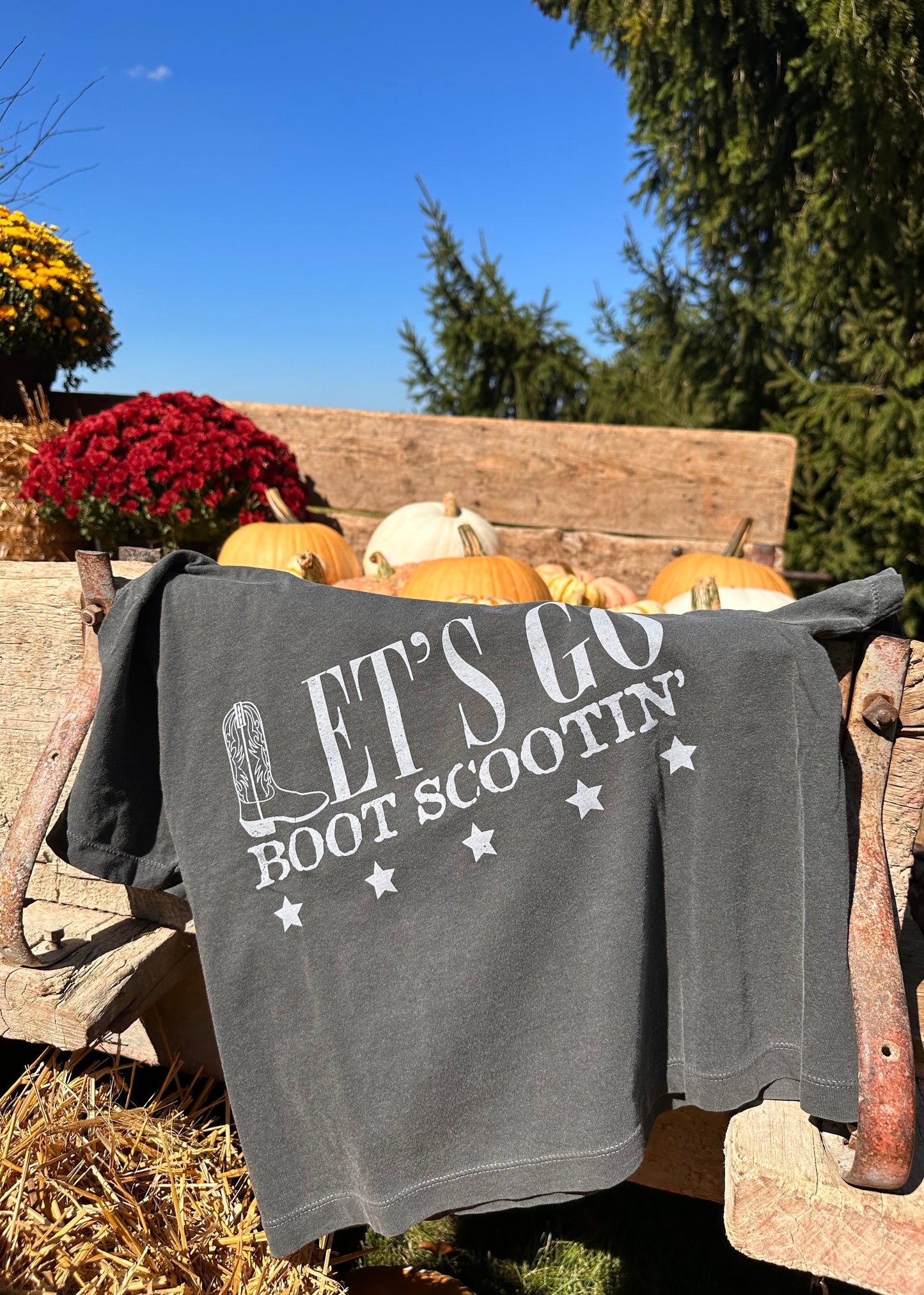 Let's Go Boot Scootin' Cropped Tee