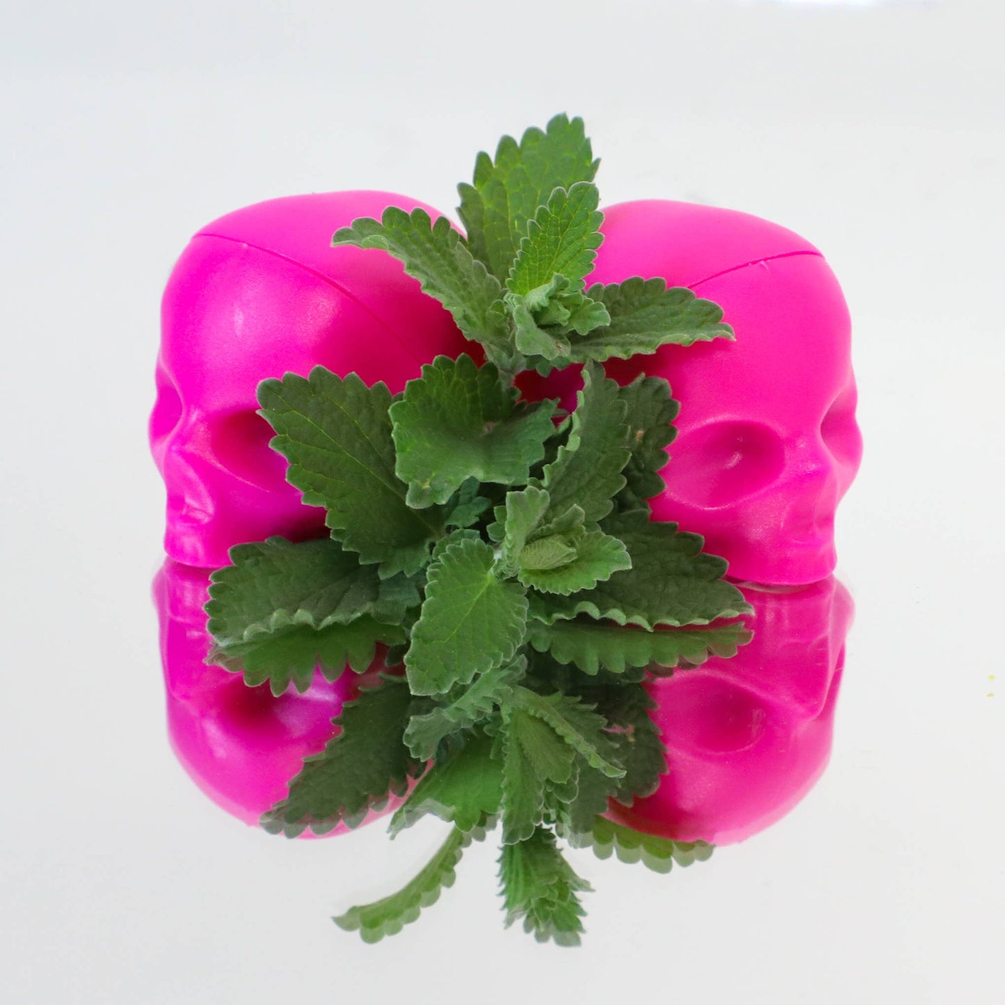 Pink Skull Lip Balm 100% Natural: Hot Pink / Mint