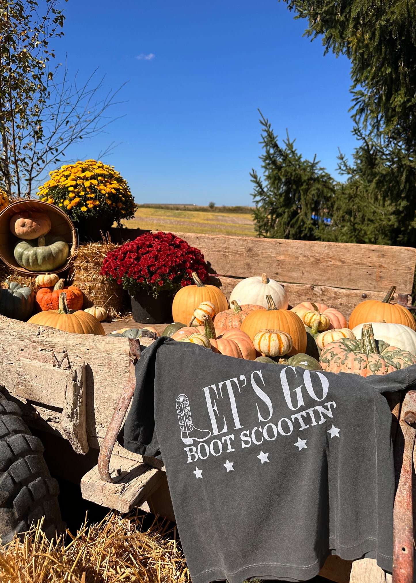 Let's Go Boot Scootin' Cropped Tee